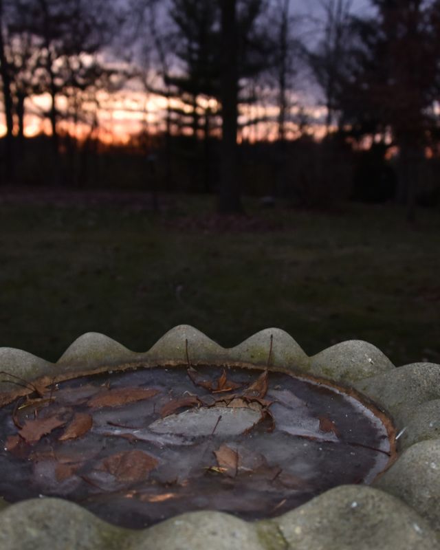 Sunset over the frozen birdbath