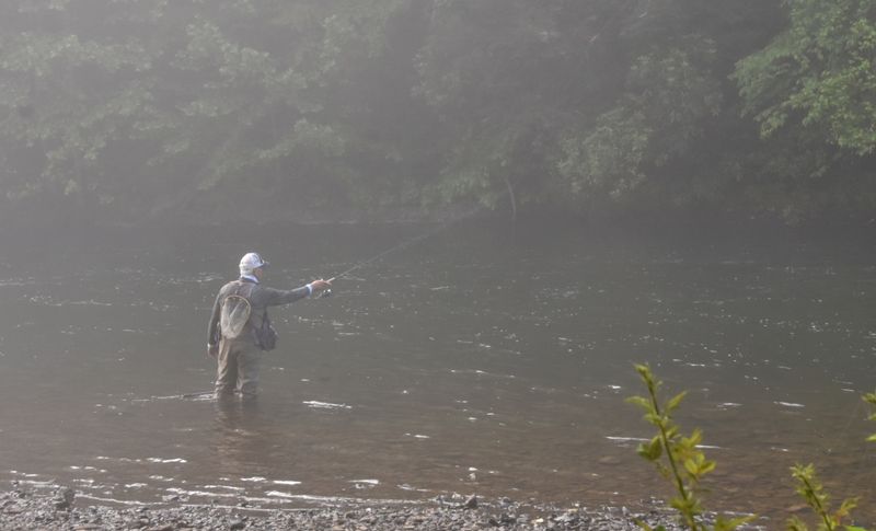 Trout fishing in the early morning fog