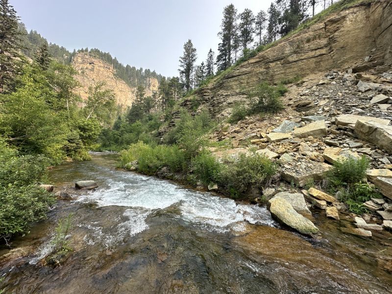 Creek in Spearfish Canyon