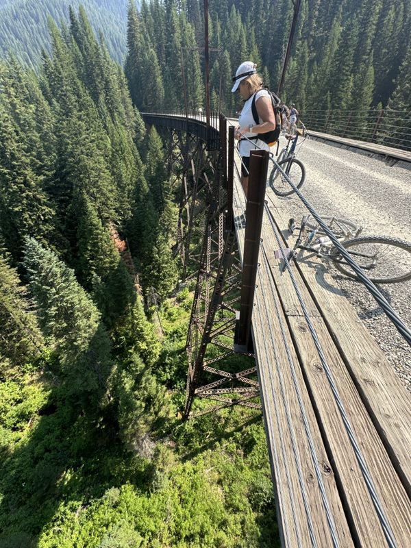 Looking over the edge of a trestle