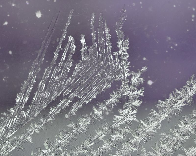 Frost on the Patio Window