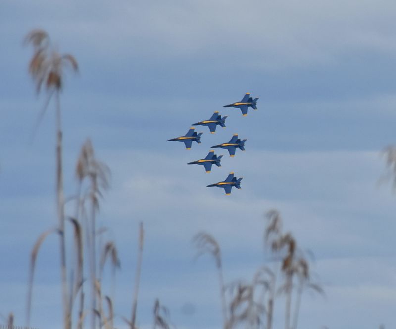 Blue Angles returning to Pensacola for the summer show season