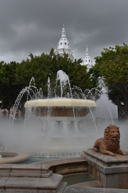 1-DSC_0744.JPG