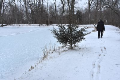 A cold walk today