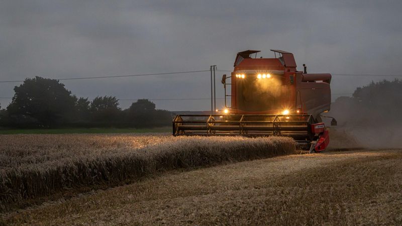 Cottingham Harvest IMG_5601.jpg