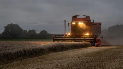 Cottingham Harvest IMG_5601.jpg