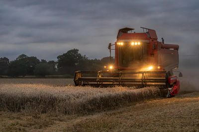 Cottingham Harvest IMG_5606.jpg