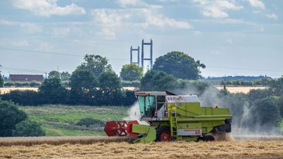 Harvest