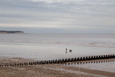 g13/20/552420/3/174192032.27ab2590.JPEG