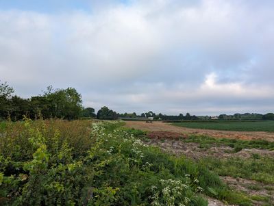 PXL_20240518_054553834.jpg
