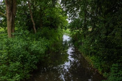 IMG_6503.jpg