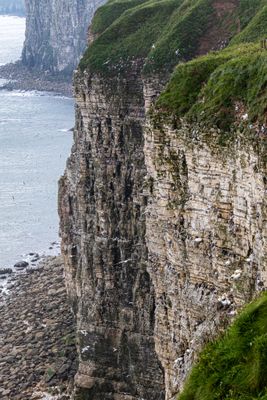 IMG_7455.jpg