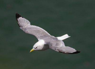IMG_7514.jpg