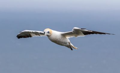 IMG_7602.jpg