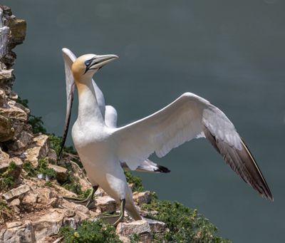 IMG_7663.jpg