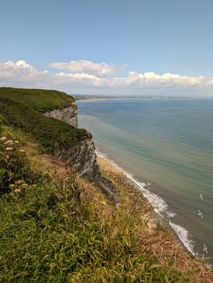 PXL_20240605_104702000.jpg