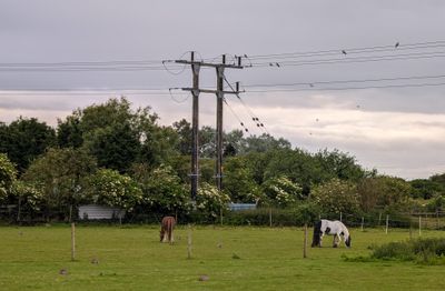 PXL_20240611_041635924.jpg
