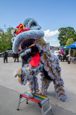 Ravens Morris IMG_7824.jpg