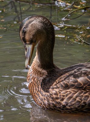 IMG_8044.jpg