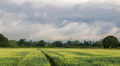 IMG_7897.jpg