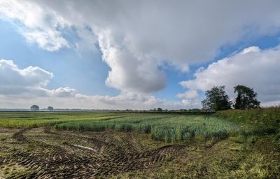 PXL_20240615_073446421.jpg