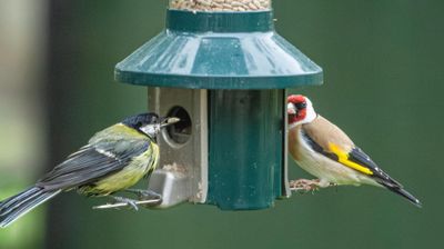 IMG_9497.jpg
