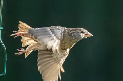 IMG_5671.jpg