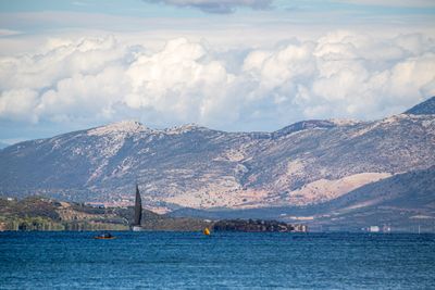 IMG_1039.jpg