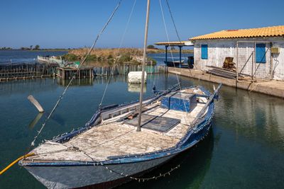IMG_1642.jpg