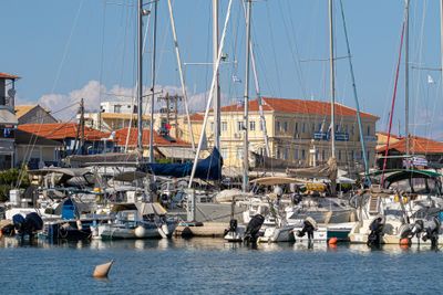 IMG_1729.jpg