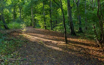 IMG_2514-1.jpg
