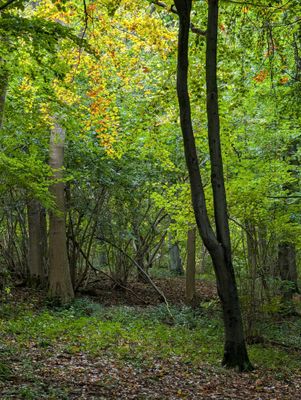 PXL_20241017_134059933..jpg