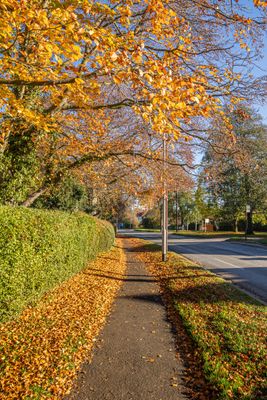 IMG_3388.jpg
