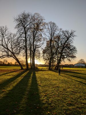PXL_20241117_081026977.jpg