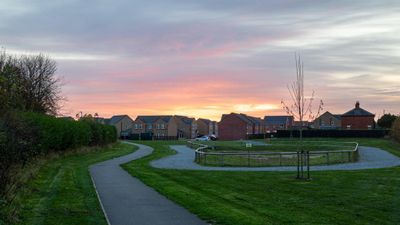 IMG_3118.jpg
