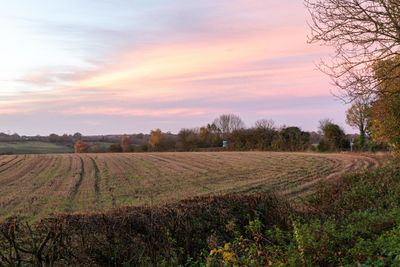 Mill Rd Skidby IMG_3065.jpg
