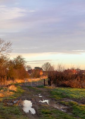 IMG_6364.jpg