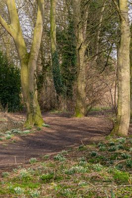 IMG_5948.jpg