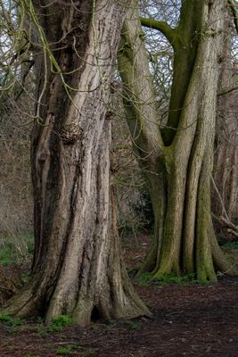 IMG_6018.jpg