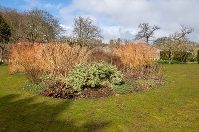 IMG_7449.jpg
