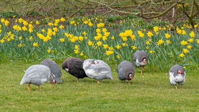 IMG_7476.jpg