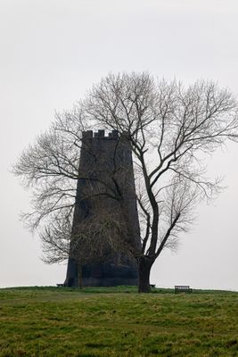 IMG_7890.jpg