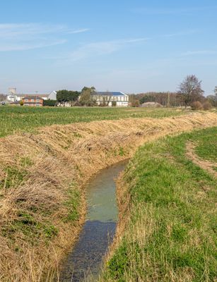 IMG_7624.jpg