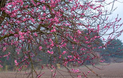 IMG_7834.jpg