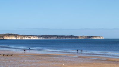 IMG_8429.jpg