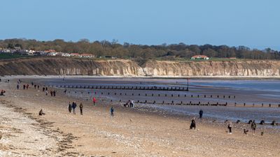 IMG_8456.jpg