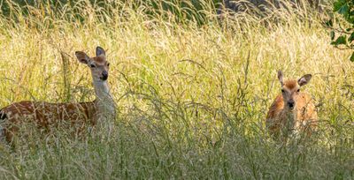 IMG_3444.jpg