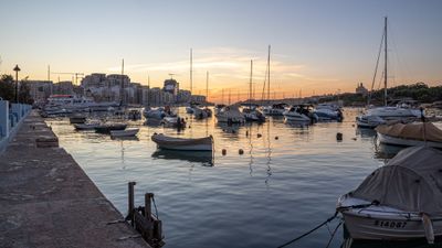 IMG_6895.jpg