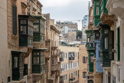 IMG_7117.jpg