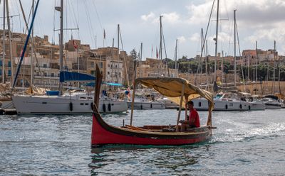IMG_7147.jpg